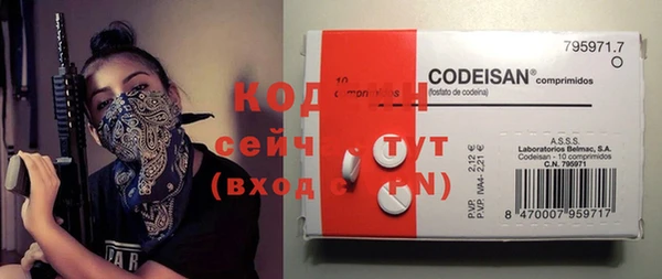 МДПВ Нея