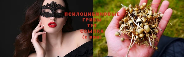 спайс Нефтекумск