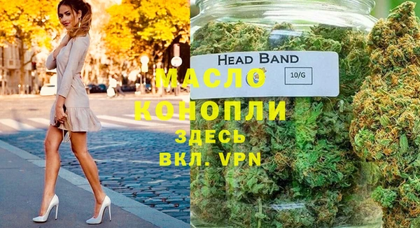 МДПВ Нея