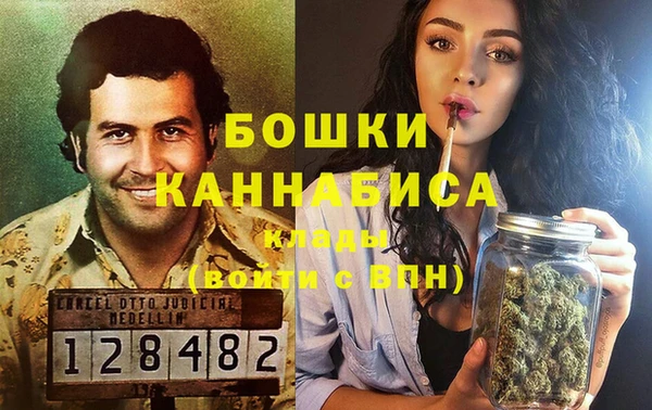 МДПВ Нея