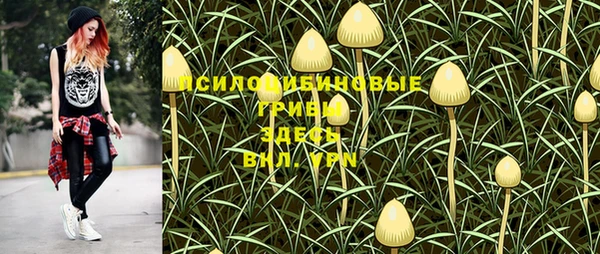 спайс Нефтекумск