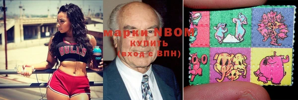МДПВ Нея