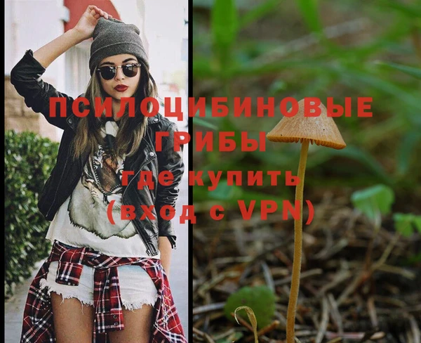 спайс Нефтекумск