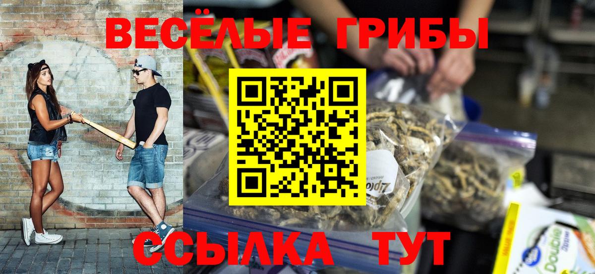 Хасавюрт  Галлюциногенные грибы Psilocybe  Вход с VPN 